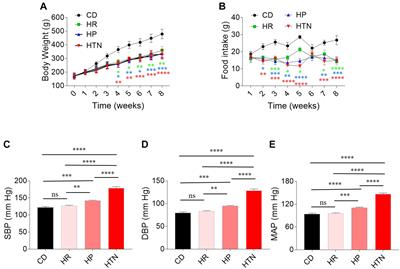 Nitric Oxide Alleviated High Salt–Induced Cardiomyocyte Apoptosis and Autophagy Independent of Blood Pressure in Rats